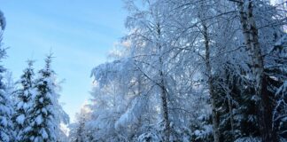 2024 Solar Eclipse Path And Times: Ultimate Guide To Witness Magic