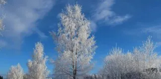 What Time Is Solar Eclipse? Discover The Exact Moment Unfolds