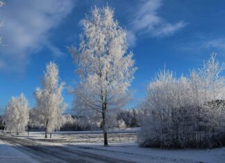 What Time Is Solar Eclipse? Discover The Exact Moment Unfolds