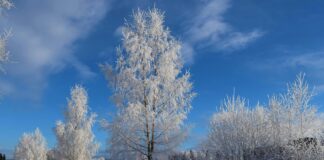 What Time Is The Solar Eclipse? Discover The Exact Moment!