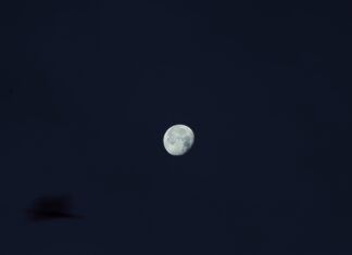 Next Solar Eclipse After 2024: When Will You Witness This Spectacle?