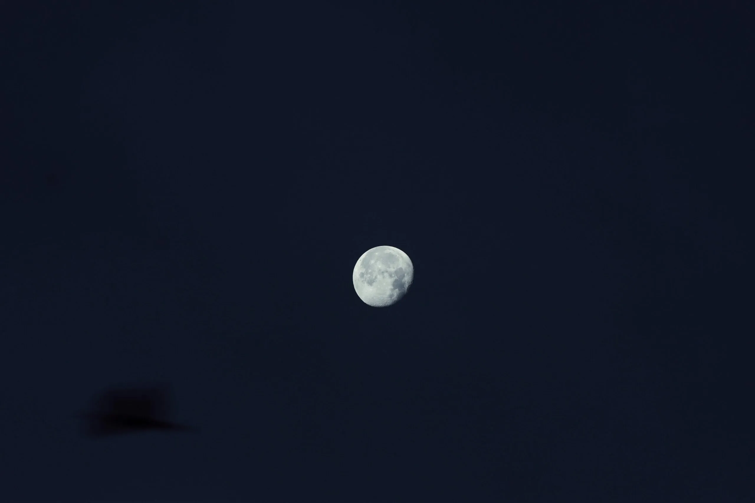 Next Solar Eclipse After 2024: When Will You Witness This Spectacle?