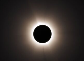Chasing Shadows: The 2024 Solar Eclipse and Why You Should Care Chasing Shadows: The 2024 Solar Eclipse and Why It Matters