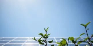 Why the Solar Eclipse Could Change Your Prayer Times Pourquoi l'éclipse solaire pourrait changer vos heures de prière