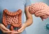 New Science Reveals How Your Gut Shapes Brain, Mood, and Immunity New Science Reveals How Your Gut Shapes Brain, Mood, and Immunity