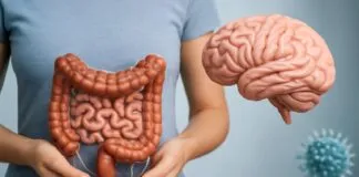 New Science Reveals How Your Gut Shapes Brain, Mood, and Immunity New Science Reveals How Your Gut Shapes Brain, Mood, and Immunity