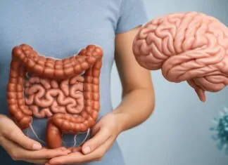 New Science Reveals How Your Gut Shapes Brain, Mood, and Immunity New Science Reveals How Your Gut Shapes Brain, Mood, and Immunity